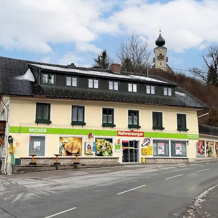 Moser-2 By Interhome * Stein an der Enns
