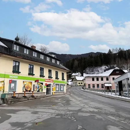 Moser-2 By Interhome Stein an der Enns